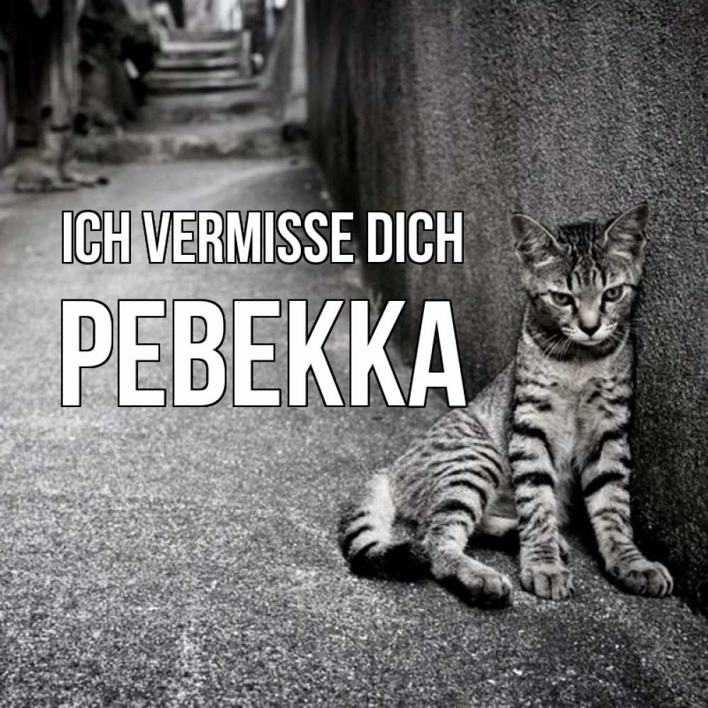 Открытка на каждый день с именем, Ревекка Ich vermisse dich одиноко котику Прикольная открытка с пожеланием онлайн скачать бесплатно 