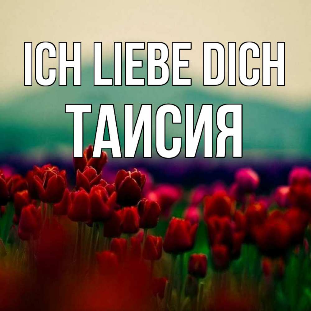 Открытка на каждый день с именем, Таисия Ich liebe dich тюльпаны 4 Прикольная открытка с пожеланием онлайн скачать бесплатно 