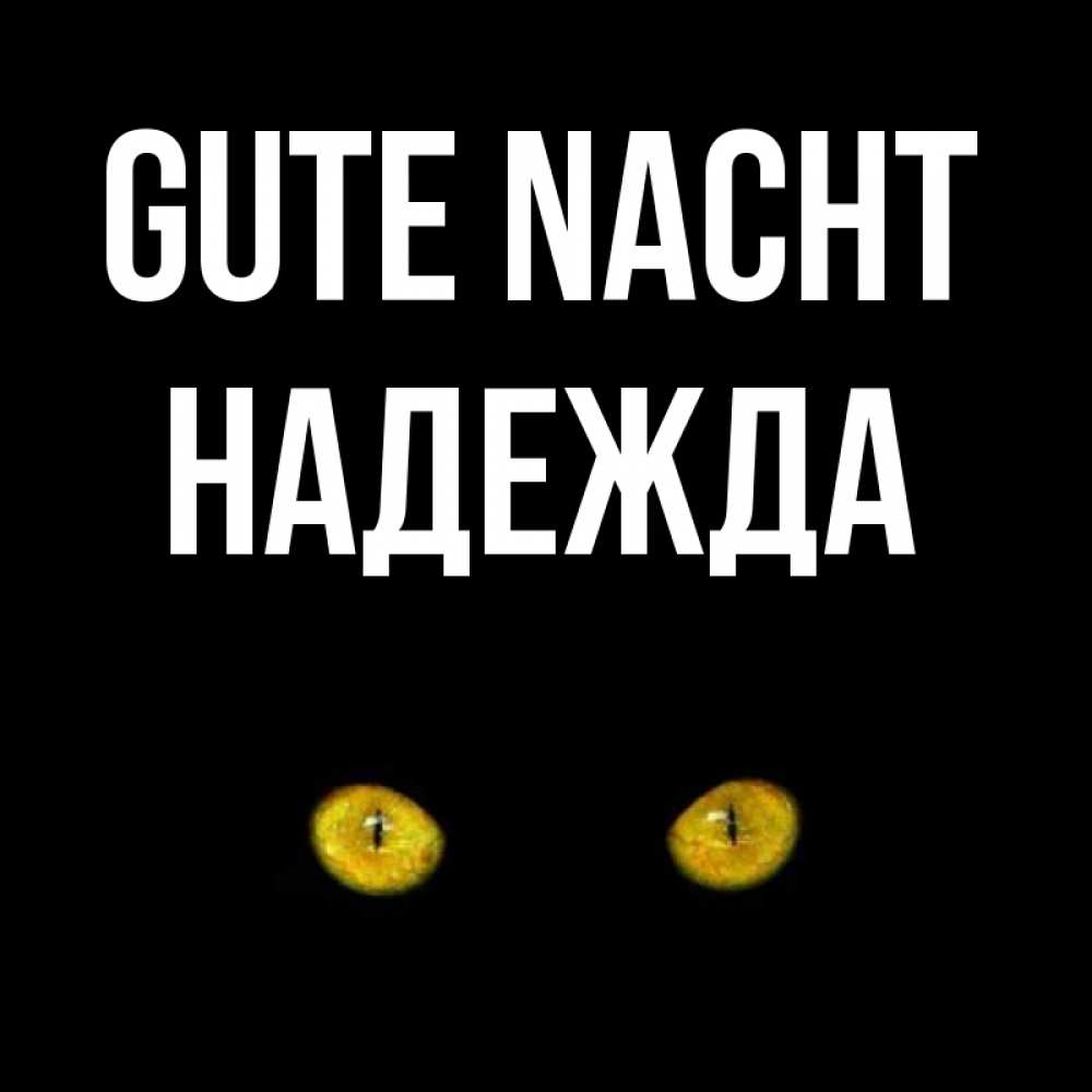 Открытка на каждый день с именем, Надежда Gute Nacht сладких снов бесстрашный мой дружочек Прикольная открытка с пожеланием онлайн скачать бесплатно 