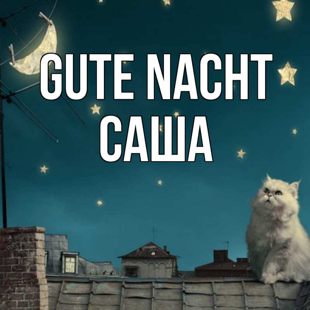 Открытка на каждый день с именем, Саша Gute Nacht белый кот сидит на крыше Прикольная открытка с пожеланием онлайн скачать бесплатно 
