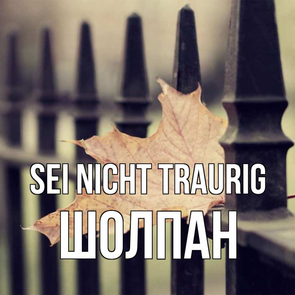 Открытка на каждый день с именем, Шолпан Sei nicht traurig лист клена Прикольная открытка с пожеланием онлайн скачать бесплатно 