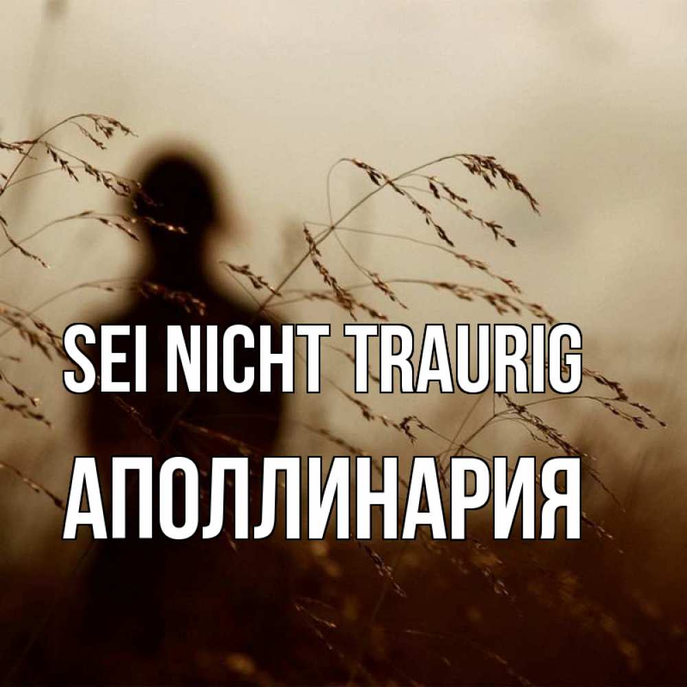 Открытка на каждый день с именем, Аполлинария Sei nicht traurig грусть Прикольная открытка с пожеланием онлайн скачать бесплатно 