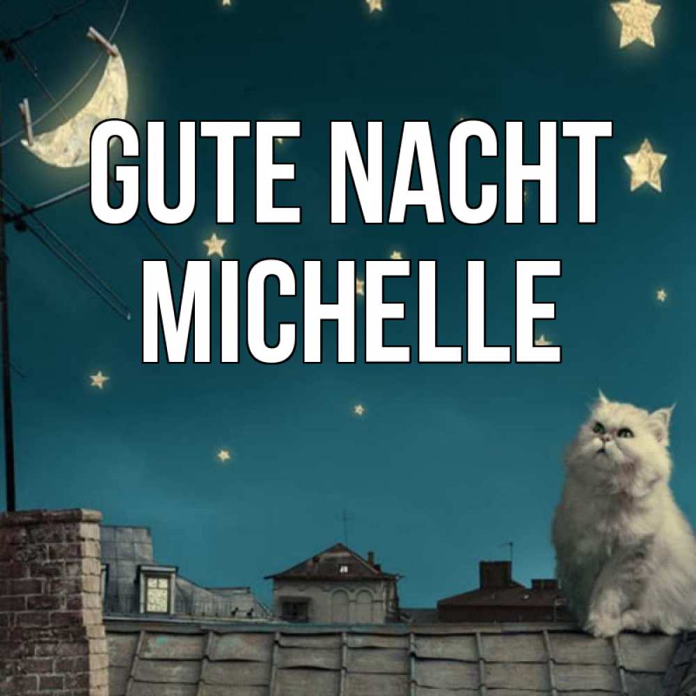 Открытка на каждый день с именем, Michelle Gute Nacht белый кот сидит на крыше Прикольная открытка с пожеланием онлайн скачать бесплатно 