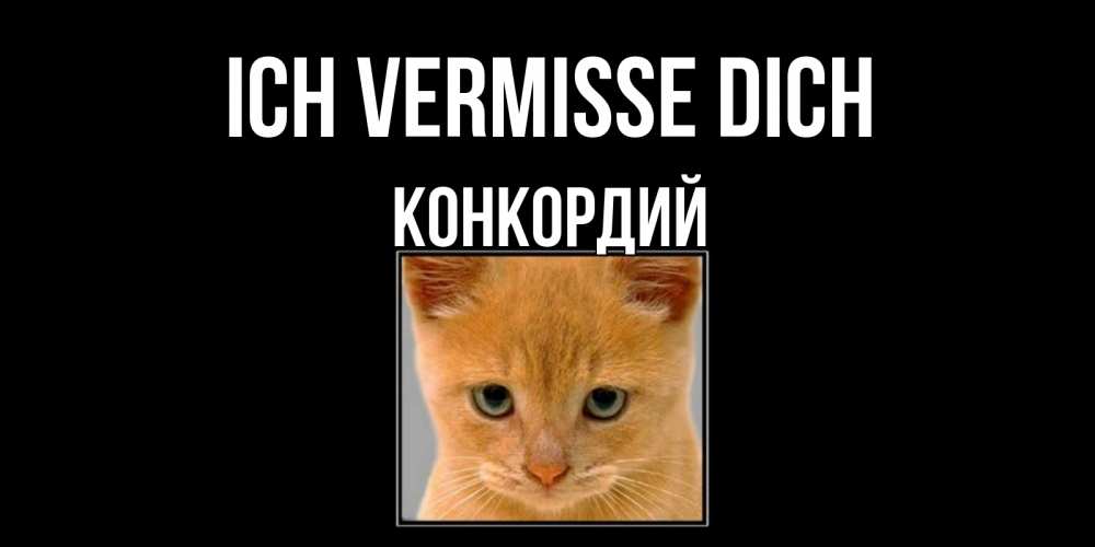 Открытка на каждый день с именем, Конкордий Ich vermisse dich открытки рыжий котенок скучает по тебе Прикольная открытка с пожеланием онлайн скачать бесплатно 