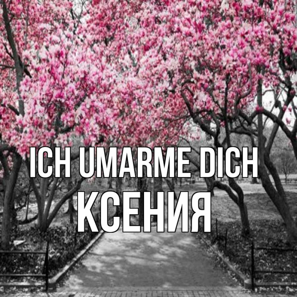 Открытка на каждый день с именем, Ксения Ich umarme dich обработанное фото Прикольная открытка с пожеланием онлайн скачать бесплатно 