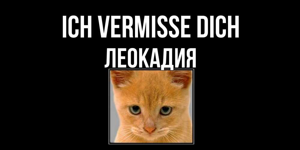 Открытка на каждый день с именем, Леокадия Ich vermisse dich открытки рыжий котенок скучает по тебе Прикольная открытка с пожеланием онлайн скачать бесплатно 