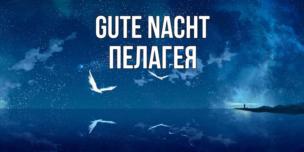 Открытка на каждый день с именем, Пелагея Gute Nacht птицы летят на фоне ночного неба Прикольная открытка с пожеланием онлайн скачать бесплатно 
