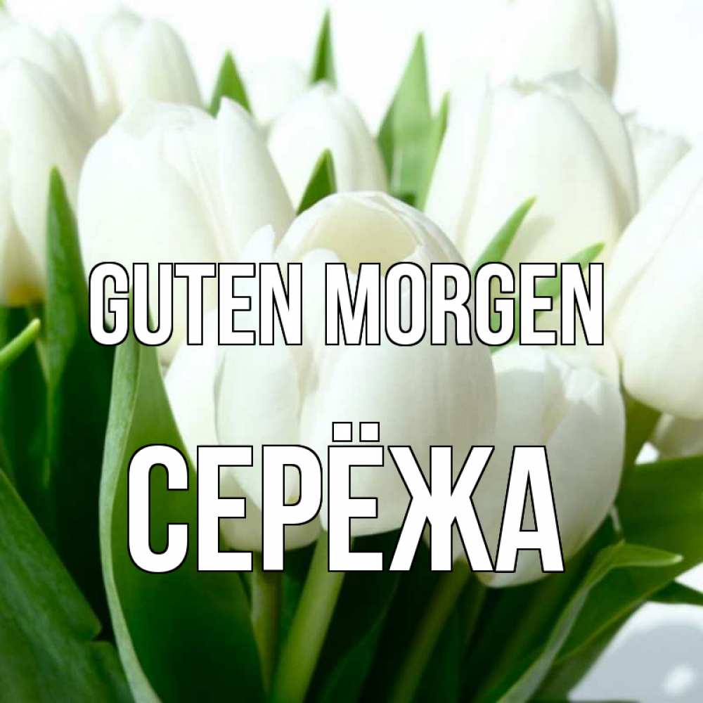 Открытка на каждый день с именем, Серёжа Guten Morgen открытки на каждый день по именам Прикольная открытка с пожеланием онлайн скачать бесплатно 