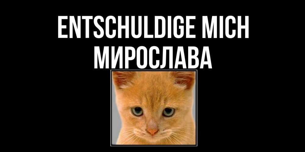 Открытка на каждый день с именем, Мирослава Entschuldige mich рыжий грустный кот просит прощения Прикольная открытка с пожеланием онлайн скачать бесплатно 