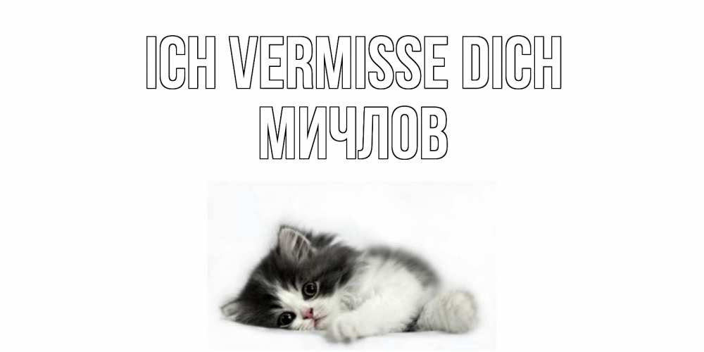 Открытка на каждый день с именем, Мичлов Ich vermisse dich кот, скука Прикольная открытка с пожеланием онлайн скачать бесплатно 