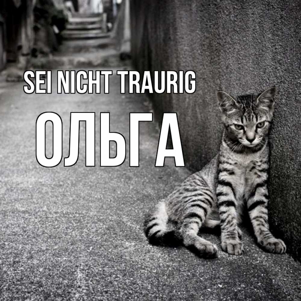 Открытка на каждый день с именем, Ольга Sei nicht traurig скучающий котик Прикольная открытка с пожеланием онлайн скачать бесплатно 