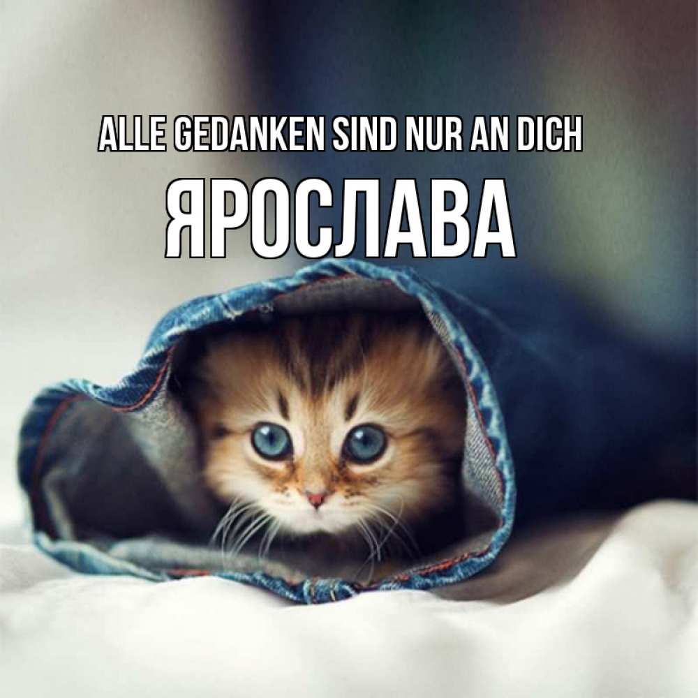 Открытка на каждый день с именем, Ярослава Alle Gedanken sind nur an dich мне без тебя плохо Прикольная открытка с пожеланием онлайн скачать бесплатно 