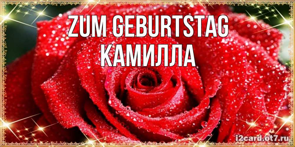 Открытка на каждый день с именем, Камилла Zum Geburtstag роса и роза. открытка с красивой розой Прикольная открытка с пожеланием онлайн скачать бесплатно 