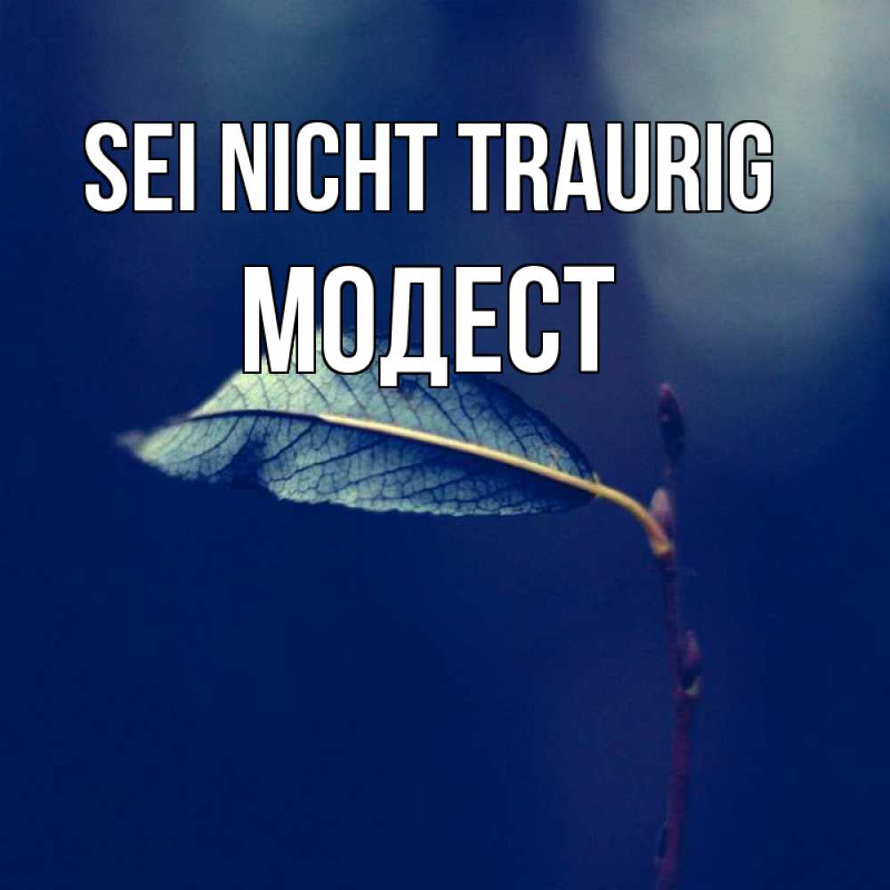 Открытка на каждый день с именем, Модест Sei nicht traurig растение Прикольная открытка с пожеланием онлайн скачать бесплатно 