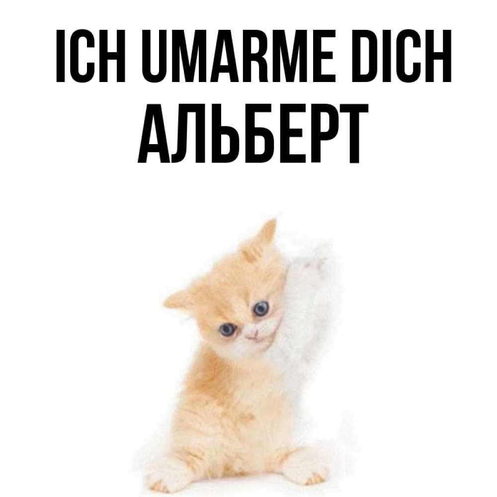 Открытка на каждый день с именем, Альберт Ich umarme dich я хочу очень скорее обнимаешек Прикольная открытка с пожеланием онлайн скачать бесплатно 