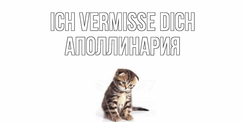 Открытка на каждый день с именем, Аполлинария Ich vermisse dich кот Прикольная открытка с пожеланием онлайн скачать бесплатно 