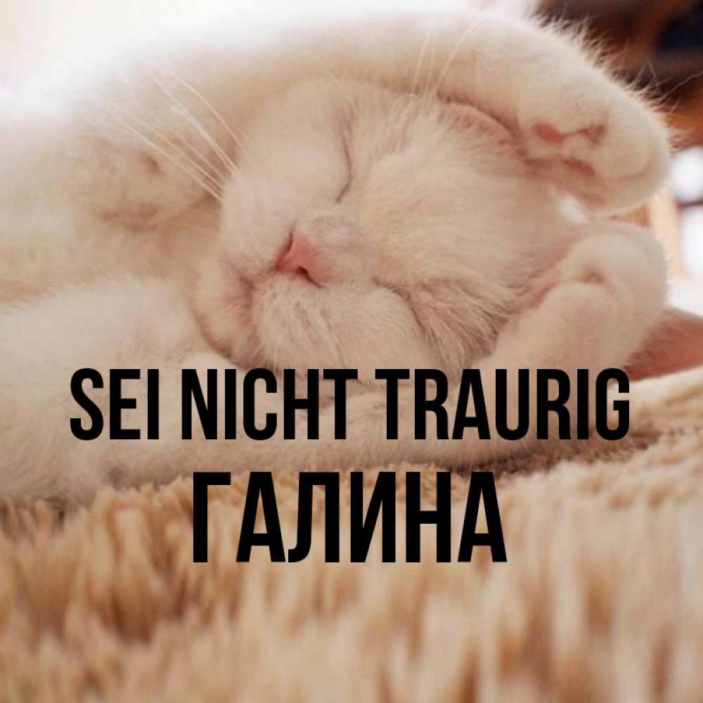 Открытка на каждый день с именем, Галина Sei nicht traurig Котенок спит Прикольная открытка с пожеланием онлайн скачать бесплатно 
