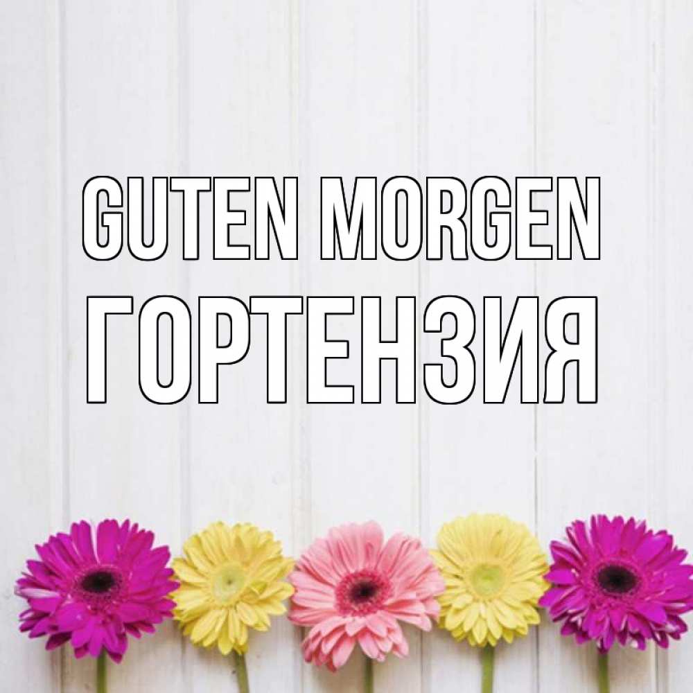 Открытка на каждый день с именем, Гортензия Guten Morgen красный желтый и розовый цветок Прикольная открытка с пожеланием онлайн скачать бесплатно 