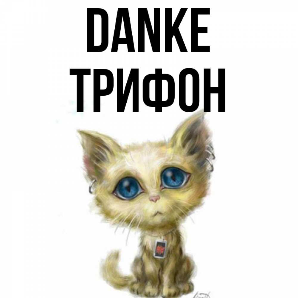 Открытка на каждый день с именем, Трифон Danke рисованный кот благодарит вас Прикольная открытка с пожеланием онлайн скачать бесплатно 
