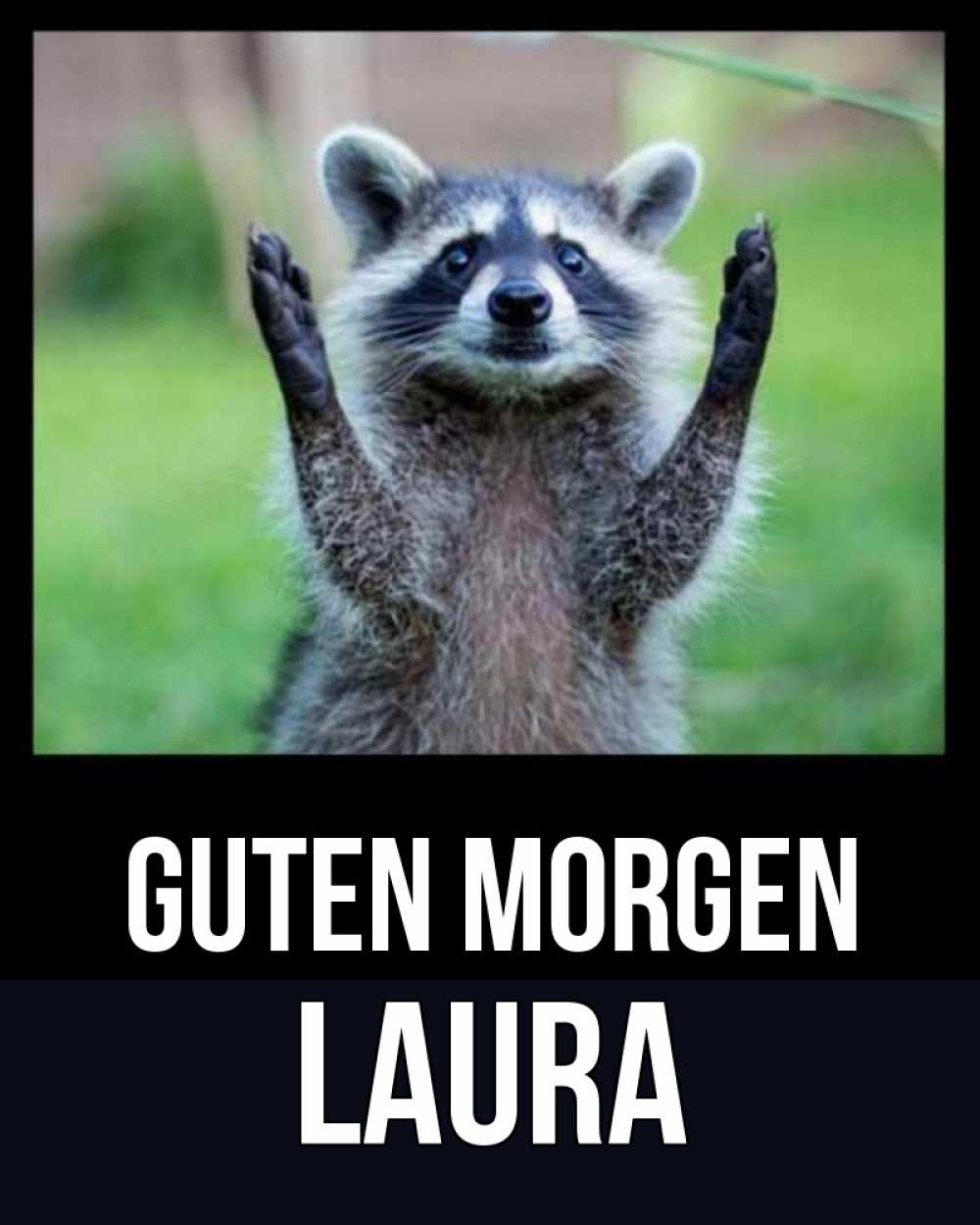 Открытка на каждый день с именем, Laura Guten Morgen хорошее настроение утречком Прикольная открытка с пожеланием онлайн скачать бесплатно 
