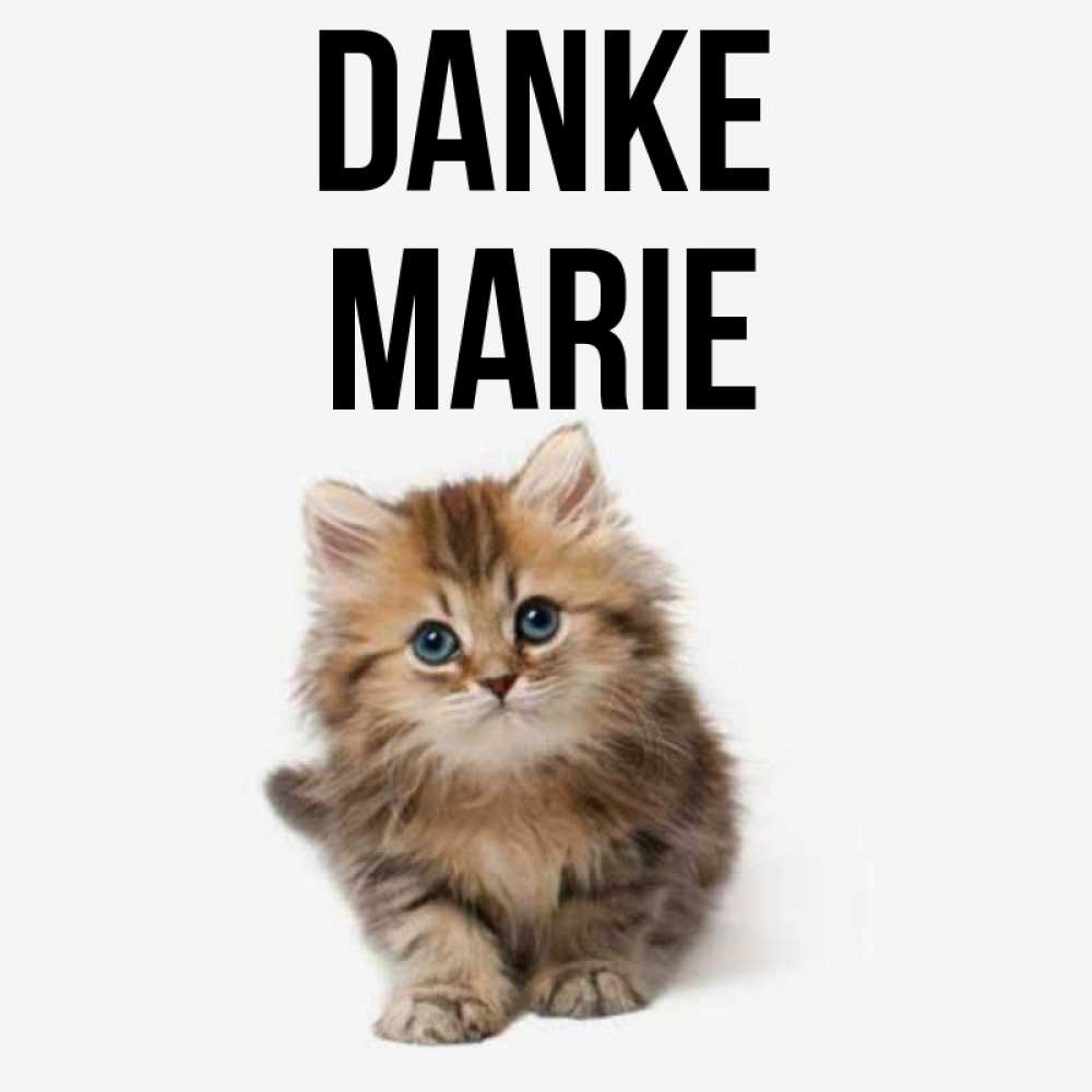 Открытка на каждый день с именем, Marie Danke пушистый котик Прикольная открытка с пожеланием онлайн скачать бесплатно 