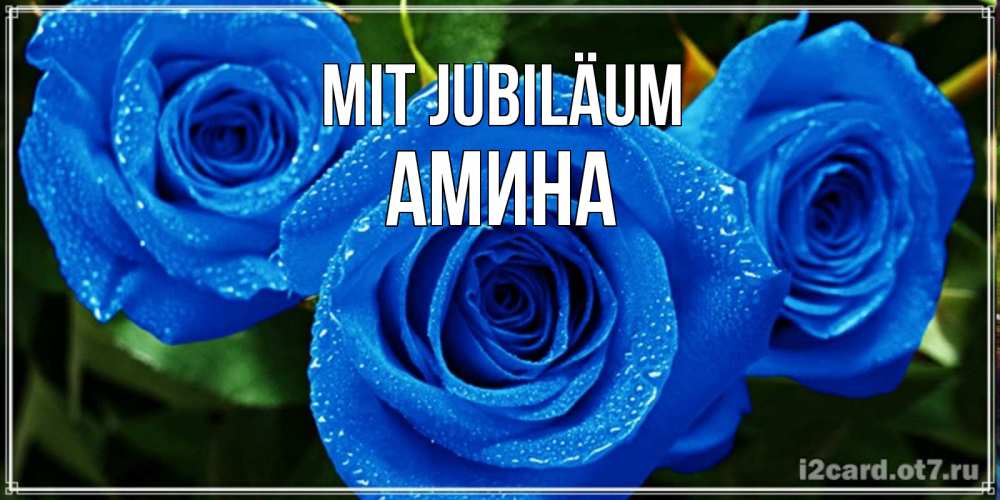 Открытка на каждый день с именем, Амина Mit Jubiläum розы с синим цветом Прикольная открытка с пожеланием онлайн скачать бесплатно 