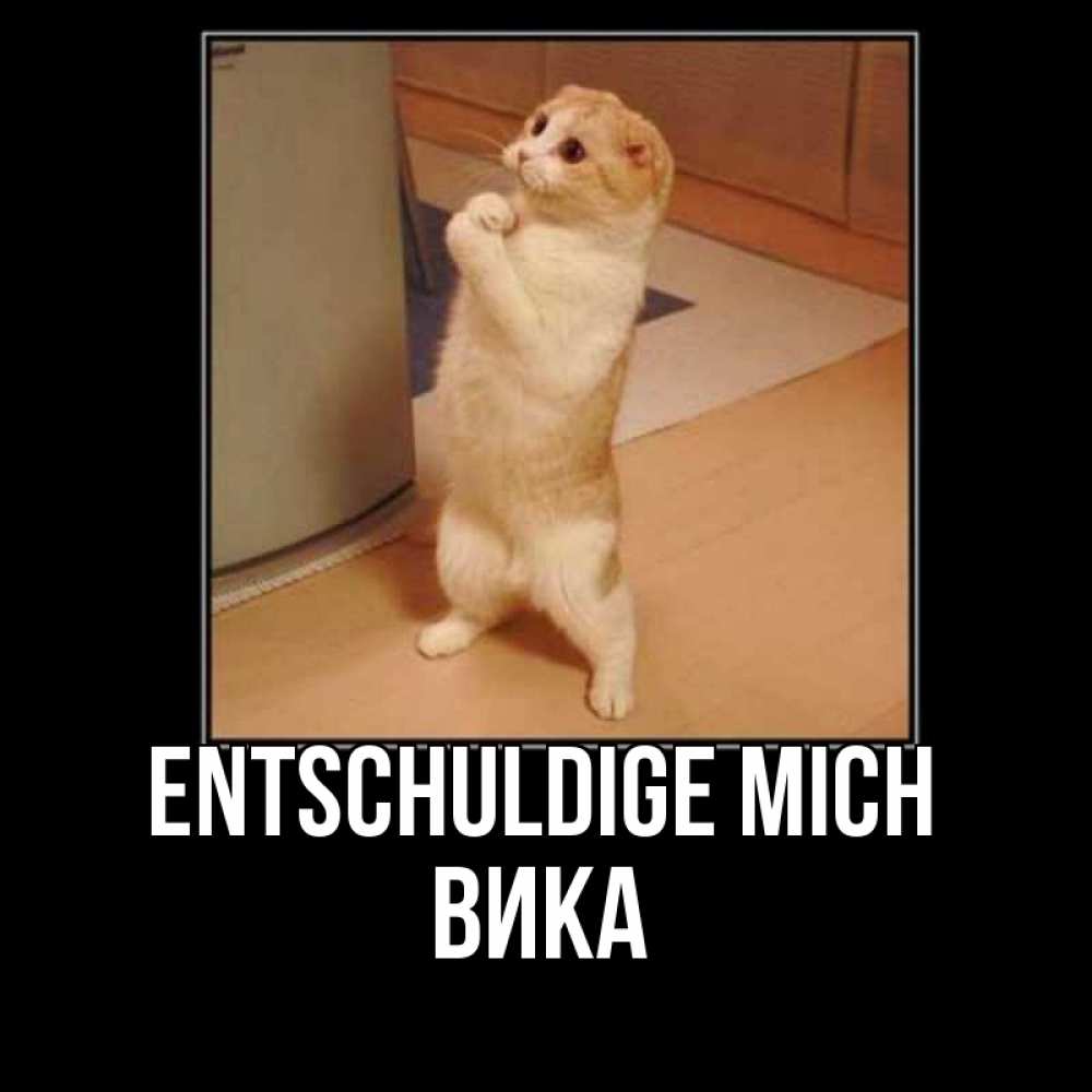 Открытка на каждый день с именем, Вика Entschuldige mich открытка с милым несчастным котиком просящим прощения Прикольная открытка с пожеланием онлайн скачать бесплатно 