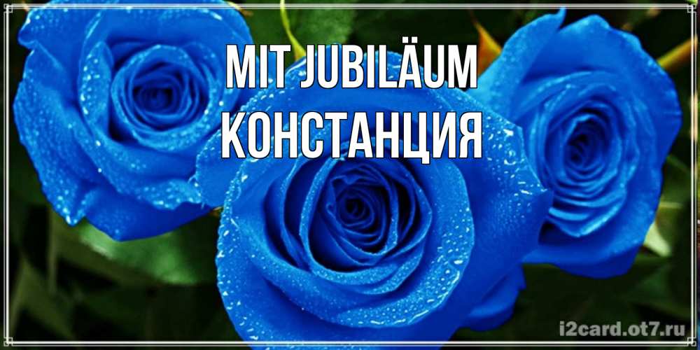 Открытка на каждый день с именем, Констанция Mit Jubiläum розы с синим цветом Прикольная открытка с пожеланием онлайн скачать бесплатно 