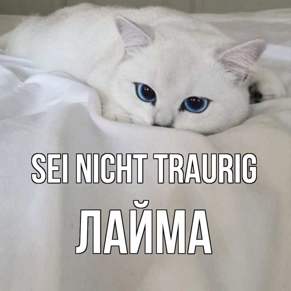 Открытка на каждый день с именем, Лайма Sei nicht traurig белый кот с голубыми глазами на белоснежной кровати Прикольная открытка с пожеланием онлайн скачать бесплатно 
