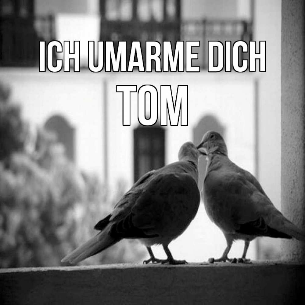 Открытка на каждый день с именем, Tom Ich umarme dich птицы на подоконнике Прикольная открытка с пожеланием онлайн скачать бесплатно 