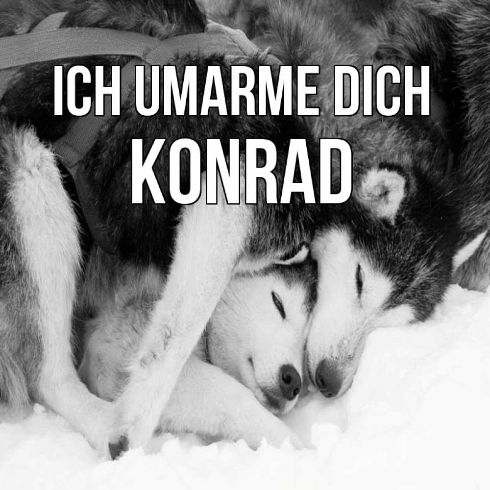 Открытка на каждый день с именем, Konrad Ich umarme dich собачки в упряжке Прикольная открытка с пожеланием онлайн скачать бесплатно 