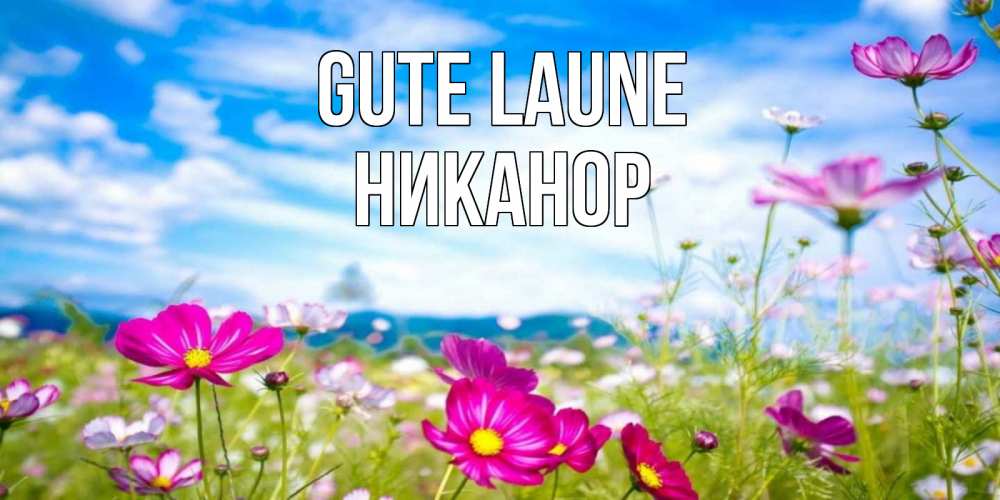 Открытка на каждый день с именем, Никанор Gute Laune поле цветов Прикольная открытка с пожеланием онлайн скачать бесплатно 