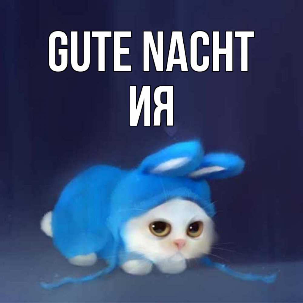Открытка на каждый день с именем, Ия Gute Nacht кот в голубом костюме кролика с ушками Прикольная открытка с пожеланием онлайн скачать бесплатно 
