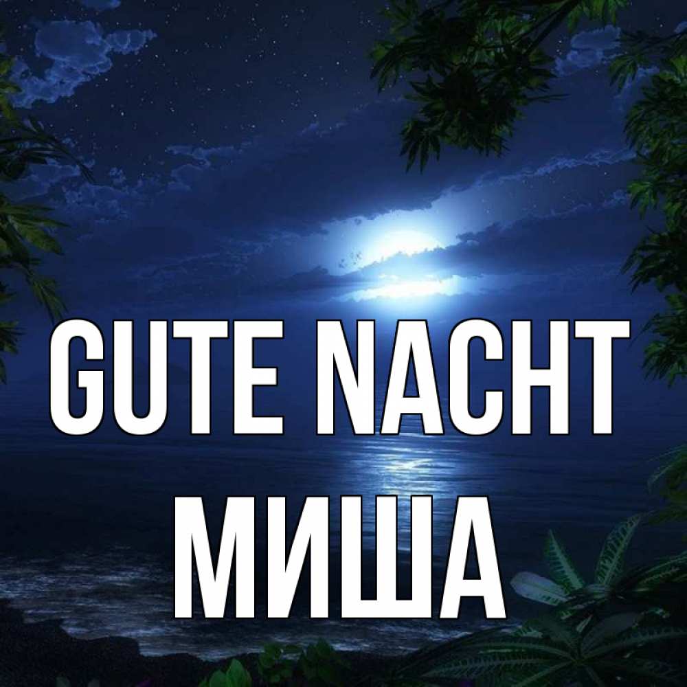 Открытка на каждый день с именем, Миша Gute Nacht тропический остров Прикольная открытка с пожеланием онлайн скачать бесплатно 