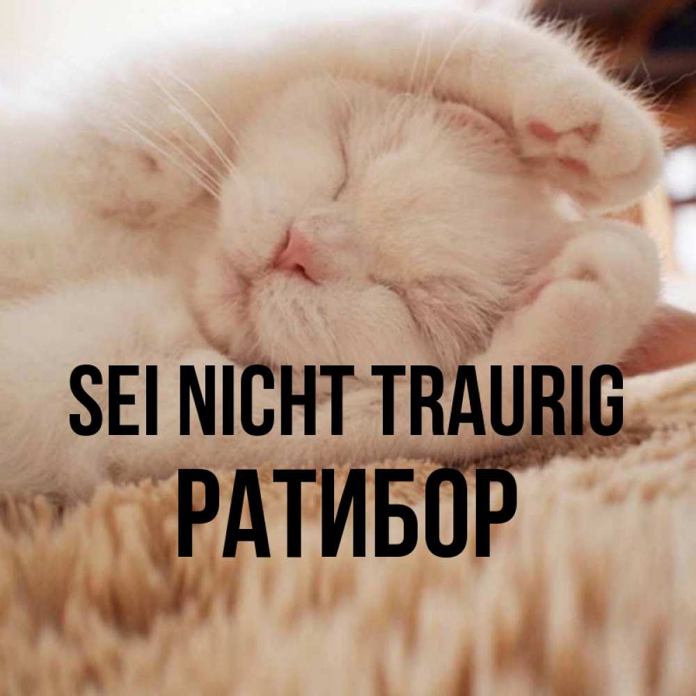 Открытка на каждый день с именем, Ратибор Sei nicht traurig Котенок спит Прикольная открытка с пожеланием онлайн скачать бесплатно 