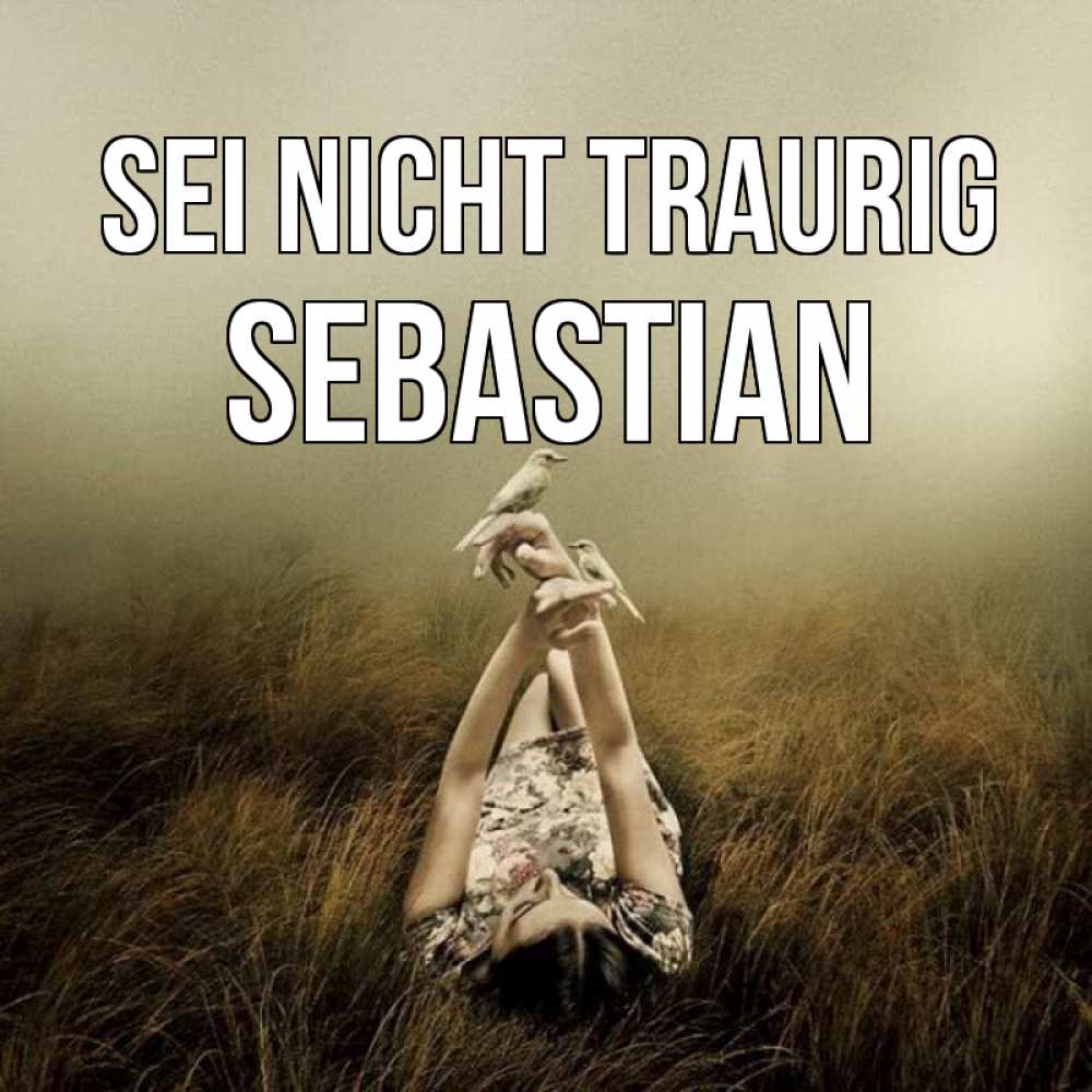 Открытка на каждый день с именем, Sebastian Sei nicht traurig поле и туман Прикольная открытка с пожеланием онлайн скачать бесплатно 