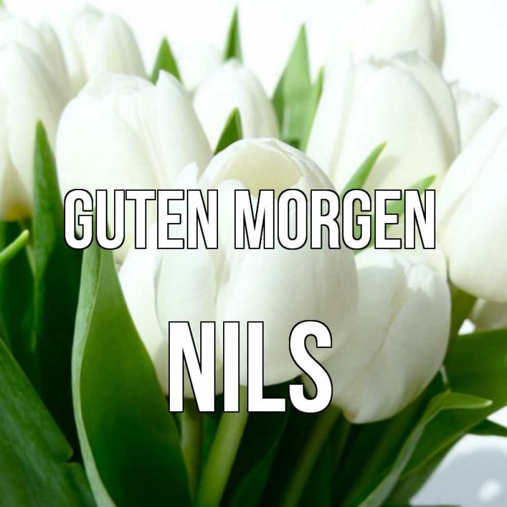 Открытка на каждый день с именем, Nils Guten Morgen открытки на каждый день по именам Прикольная открытка с пожеланием онлайн скачать бесплатно 