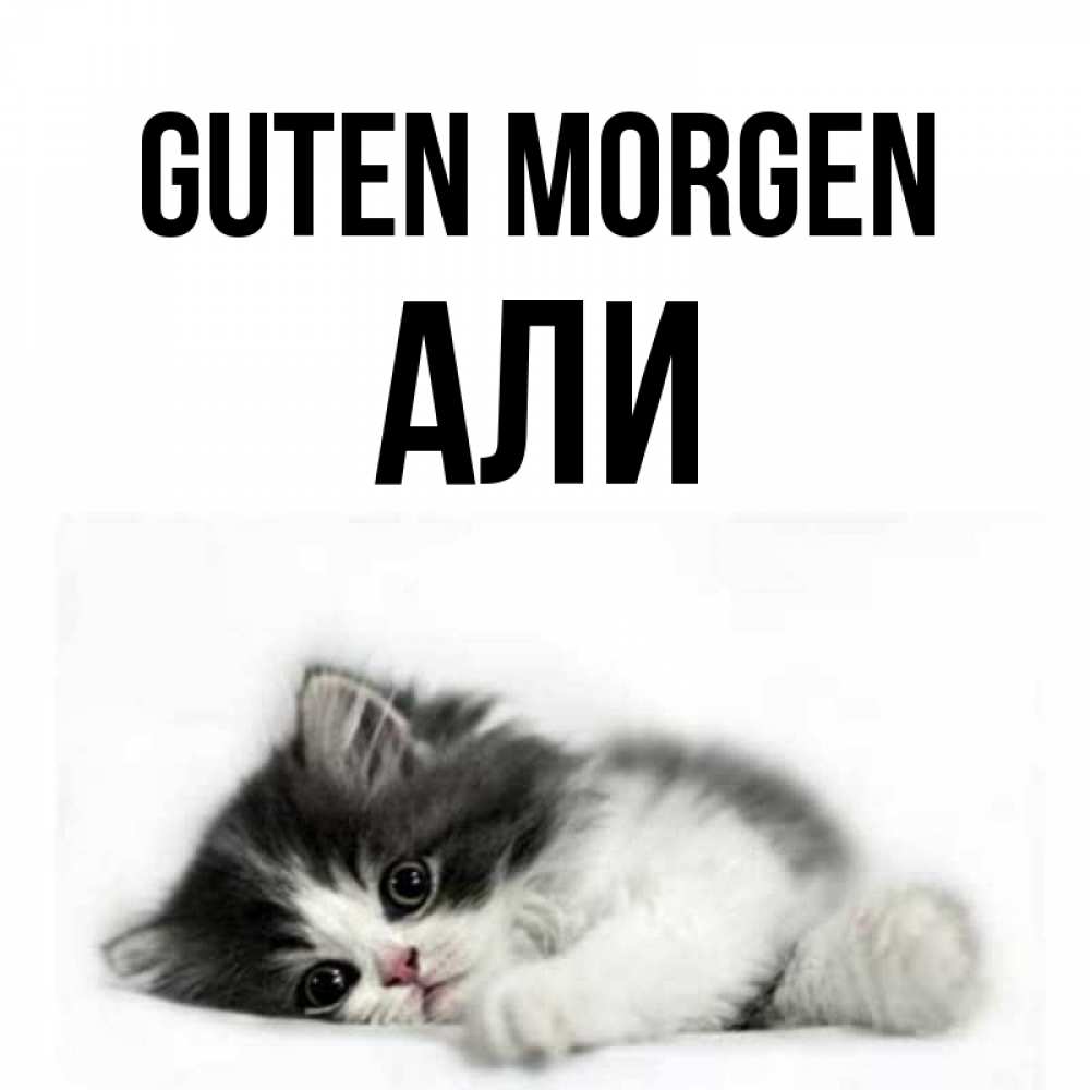 Открытка на каждый день с именем, Али Guten Morgen кот лапки Прикольная открытка с пожеланием онлайн скачать бесплатно 