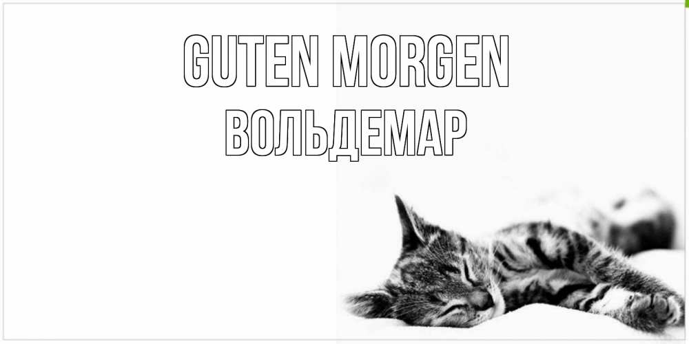 Открытка на каждый день с именем, Вольдемар Guten Morgen котуся Прикольная открытка с пожеланием онлайн скачать бесплатно 