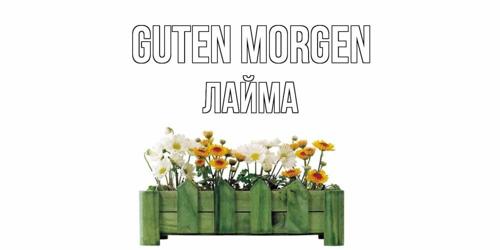 Открытка на каждый день с именем, Лайма Guten Morgen цветы Прикольная открытка с пожеланием онлайн скачать бесплатно 
