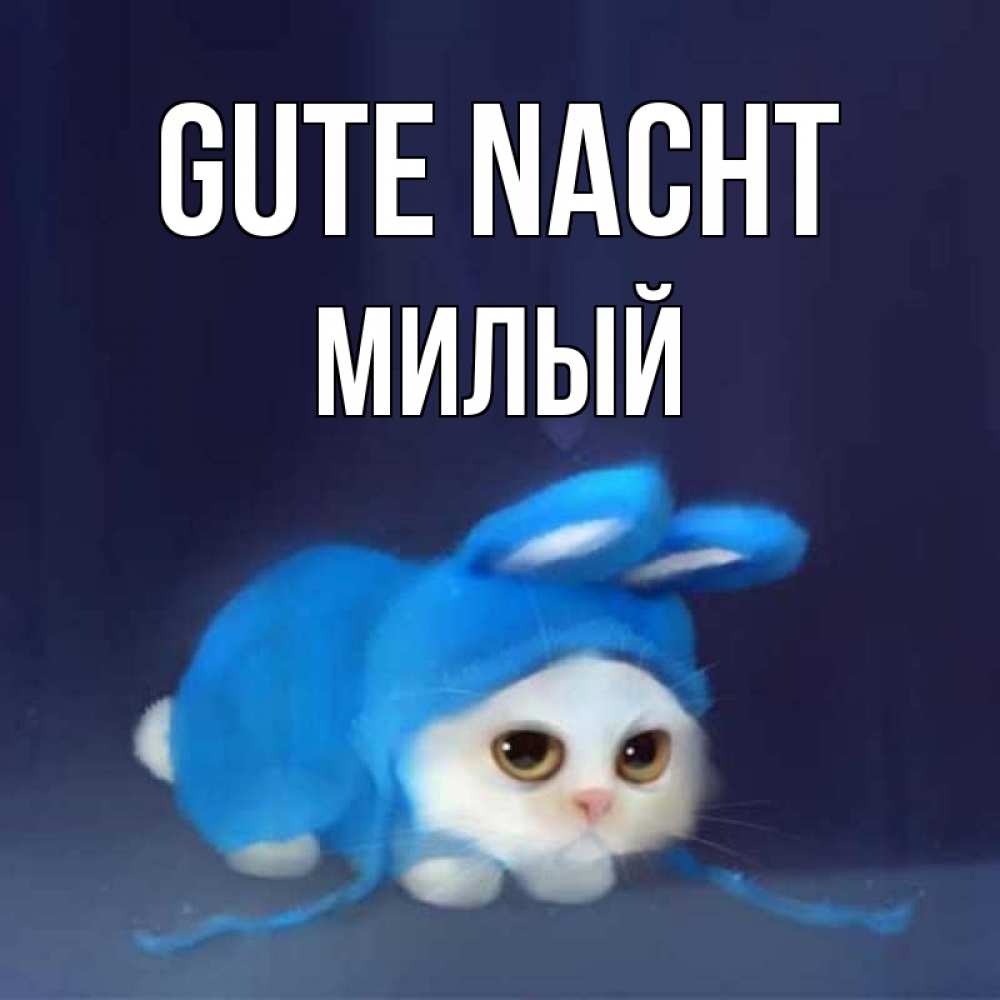 Открытка на каждый день с именем, Милый Gute Nacht кот в голубом костюме кролика с ушками Прикольная открытка с пожеланием онлайн скачать бесплатно 