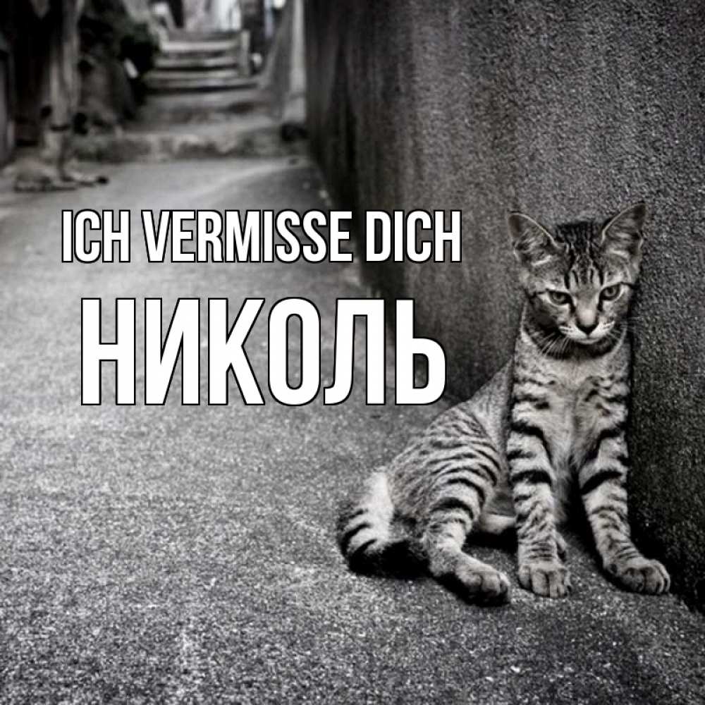 Открытка на каждый день с именем, Николь Ich vermisse dich одиноко котику Прикольная открытка с пожеланием онлайн скачать бесплатно 