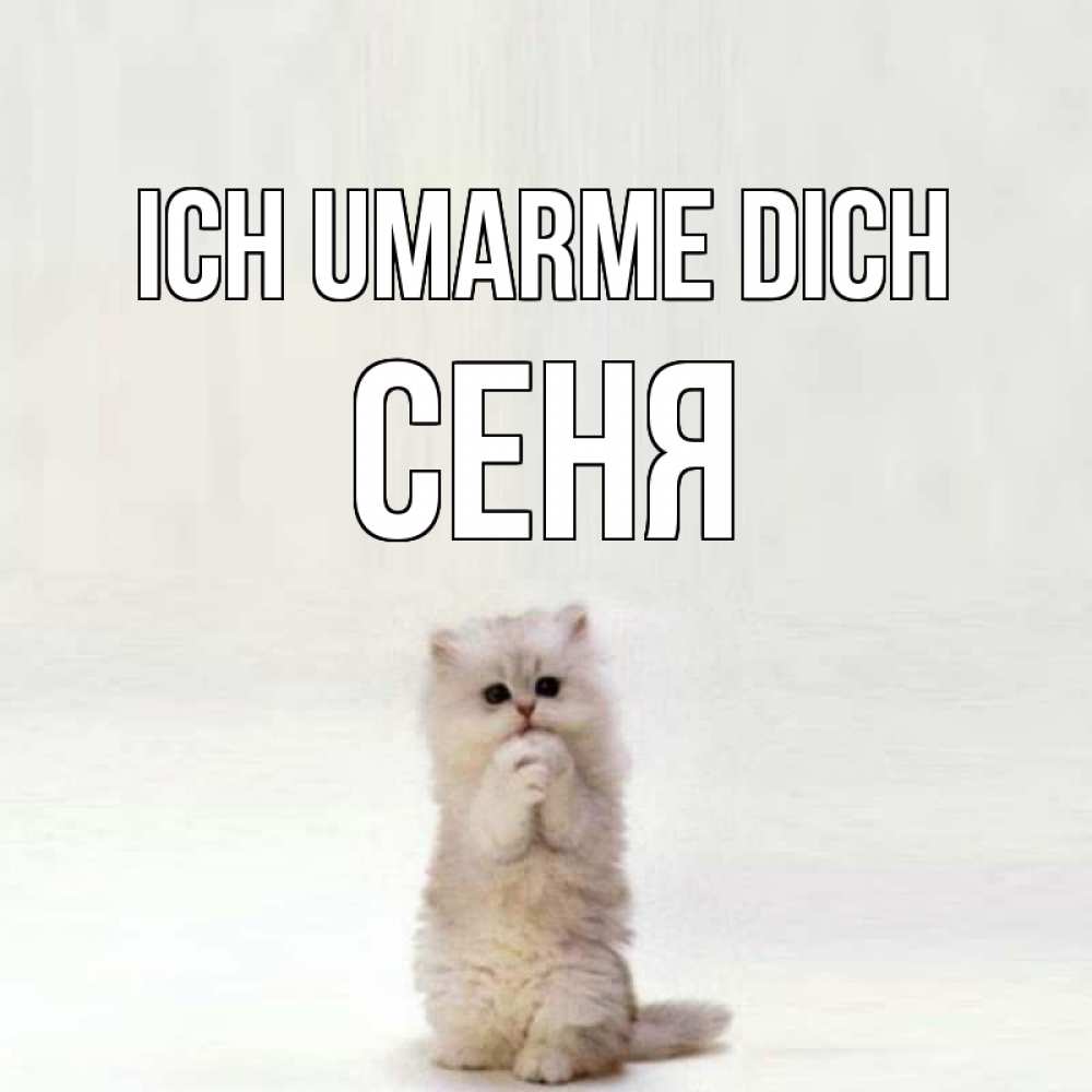 Открытка на каждый день с именем, Сеня Ich umarme dich открытки с креативными подписями Прикольная открытка с пожеланием онлайн скачать бесплатно 