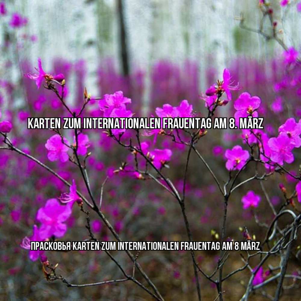 Картинка Karten zum Internationalen Frauentag am 8. März, Прасковья