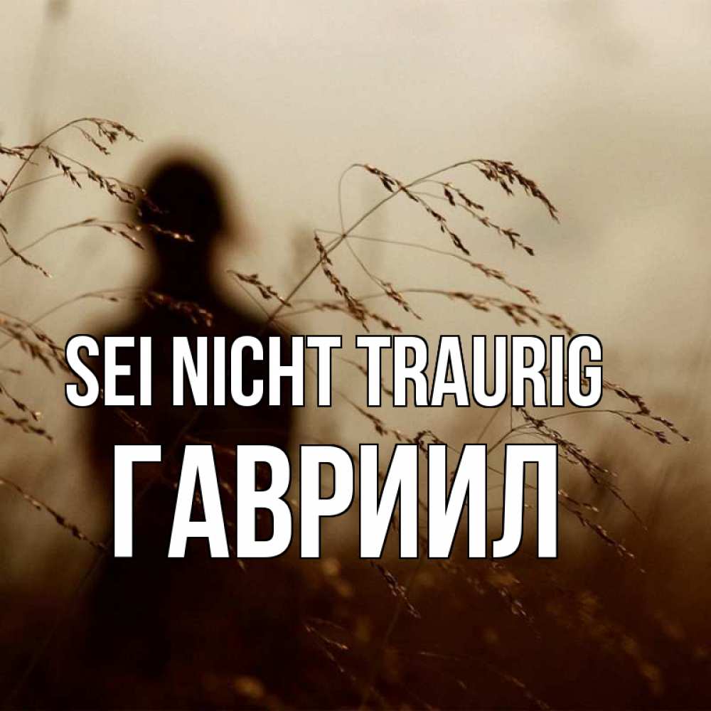 Открытка на каждый день с именем, Гавриил Sei nicht traurig грусть Прикольная открытка с пожеланием онлайн скачать бесплатно 
