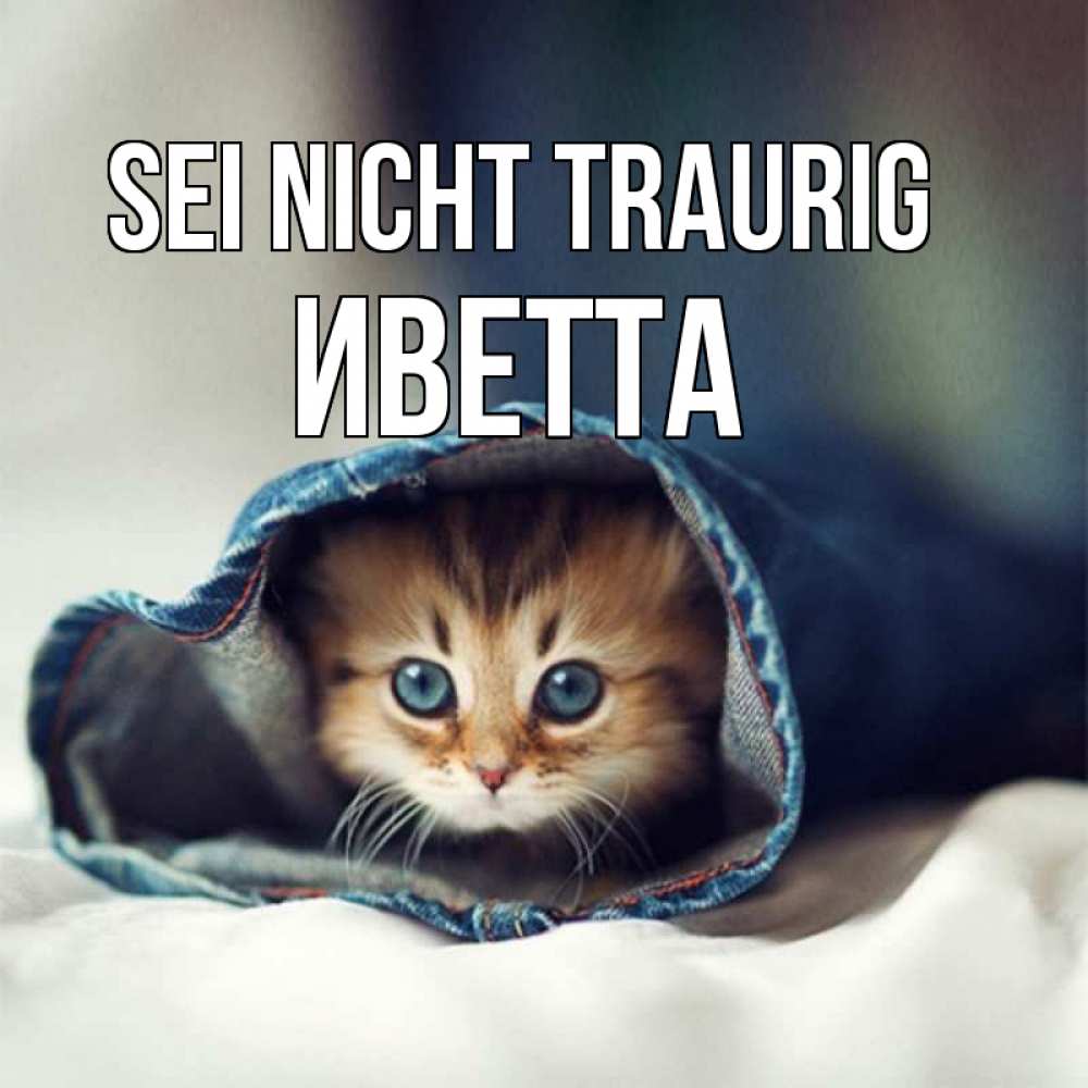 Открытка на каждый день с именем, Иветта Sei nicht traurig рыжик котик Прикольная открытка с пожеланием онлайн скачать бесплатно 