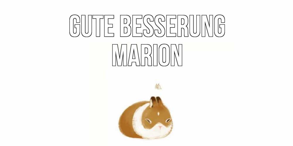 Открытка на каждый день с именем, Marion Gute Besserung морская свинка на открытке с пожеланиями не болеть Прикольная открытка с пожеланием онлайн скачать бесплатно 