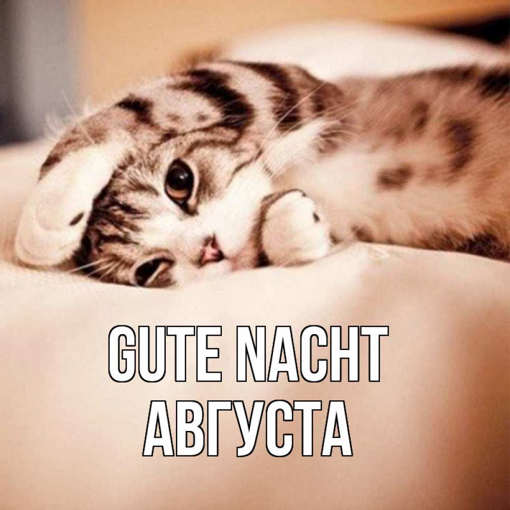 Открытка на каждый день с именем, Августа Gute Nacht сладких снов с животными Прикольная открытка с пожеланием онлайн скачать бесплатно 