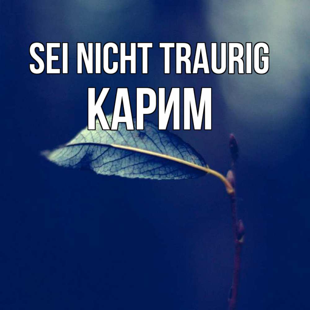 Открытка на каждый день с именем, Карим Sei nicht traurig растение Прикольная открытка с пожеланием онлайн скачать бесплатно 