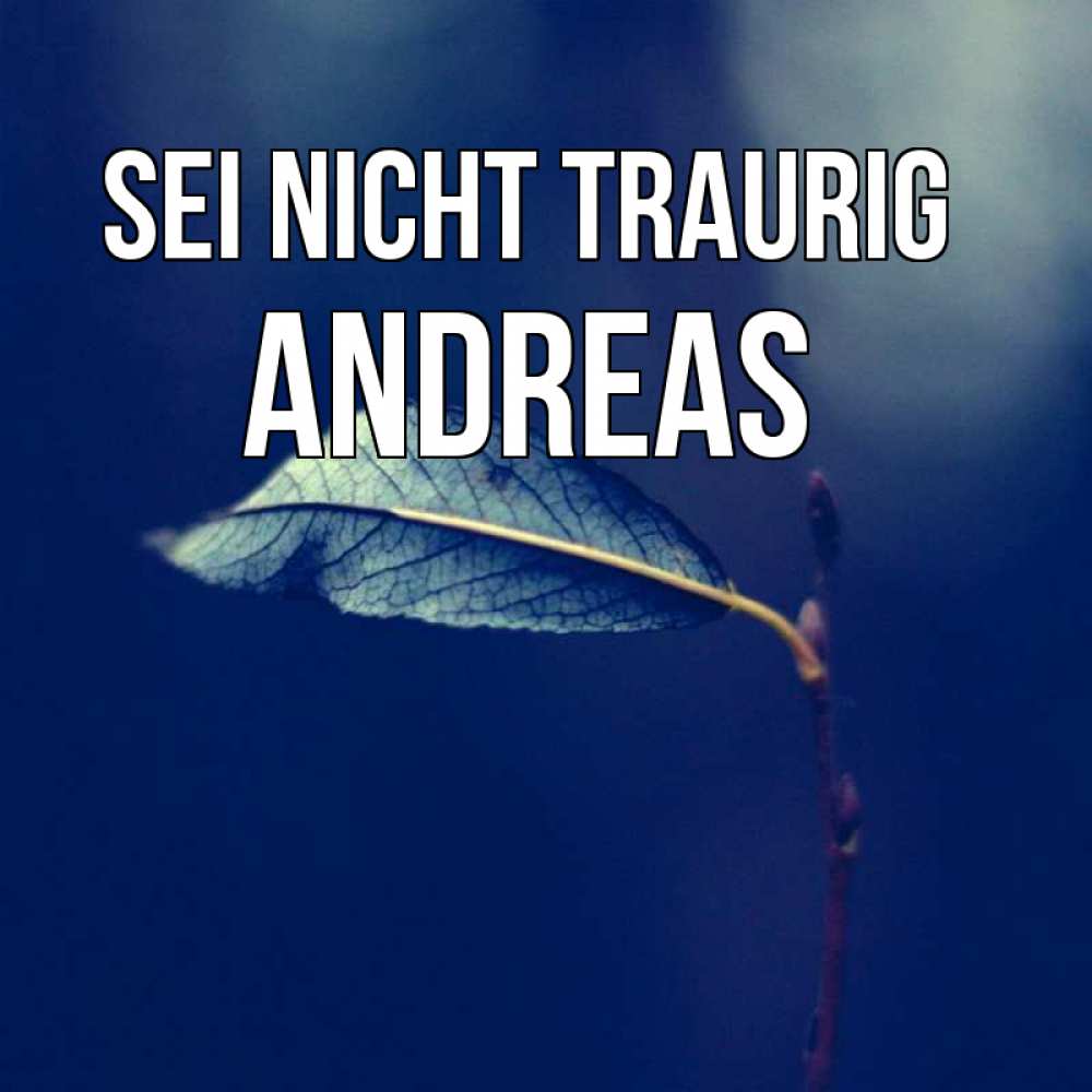 Открытка на каждый день с именем, Andreas Sei nicht traurig растение Прикольная открытка с пожеланием онлайн скачать бесплатно 